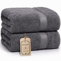 Luxe 2-Piece Bath Towel Set – Large Soft Cotton Towels, Absorbent, Durable & Skin-Friendly, Machine Washable, 27 x 54 in (Ice Blue)